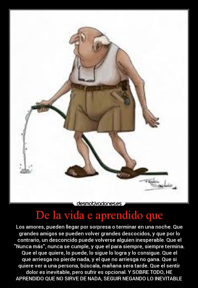 De la vida e aprendido que - Los amores, pueden llegar por sorpresa o terminar en una noche. Que
grandes amigos se pueden volver grandes descocidos, y que por lo
contrario, un desconcido puede volverse alguien inesperable. Que el
Nunca más, nunca se cumple, y que el para siempre, siempre termina.
Que el que quiere, lo puede, lo sigue lo logra y lo consigue. Que el
que arriesga no pierde nada, y el que no arriesga no gana. Que si
quiere ver a una persona, búscala, mañana sera tarde. Que el sentir
dolor es inevitable, pero sufrir es opcional. Y SOBRE TODO, HE
APRENDIDO QUE NO SIRVE DE NADA, SEGUIR NEGANDO LO INEVITABLE