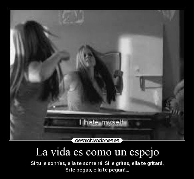 carteles vida vida desmotivaciones