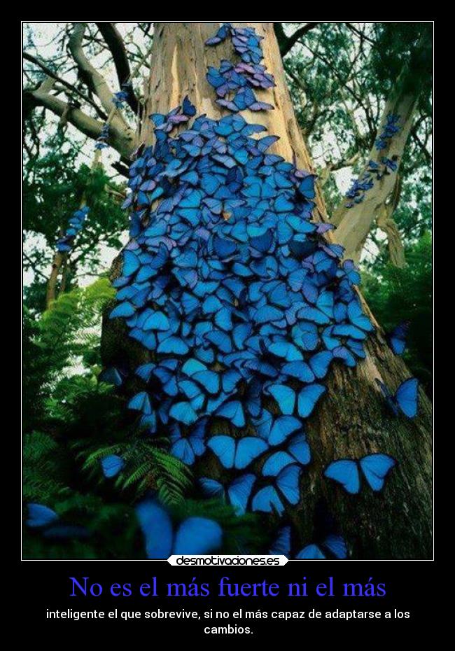 carteles vida desmotivaciones