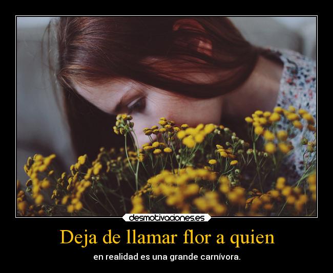 Deja de llamar flor a quien - 