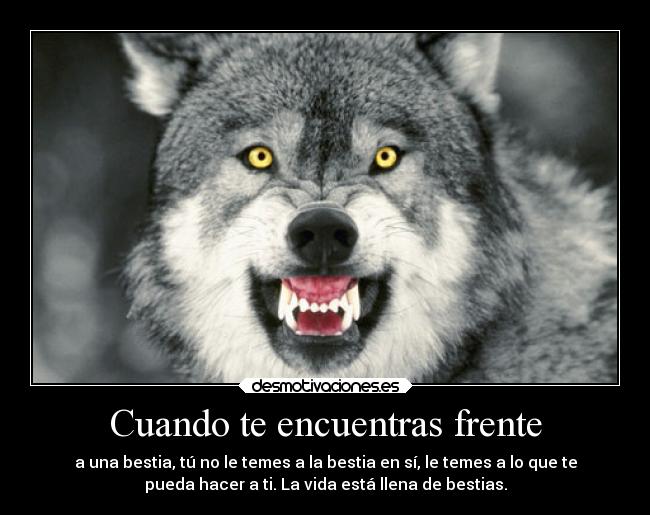 Cuando te encuentras frente - a una bestia, tú no le temes a la bestia en sí, le temes a lo que te
pueda hacer a ti. La vida está llena de bestias.