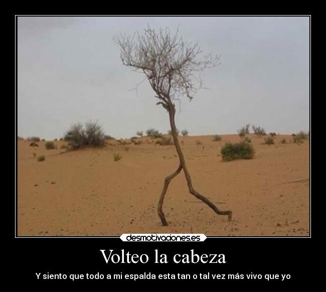 carteles vida desmotivaciones