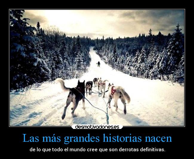 carteles vida desmotivaciones lobos nuestrahistoriaesmejorquecualquierlibro 111alba desmotivaciones