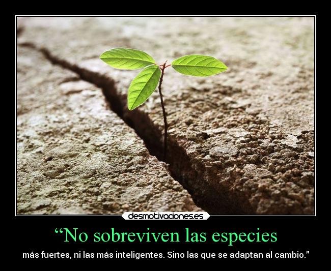 “No sobreviven las especies -