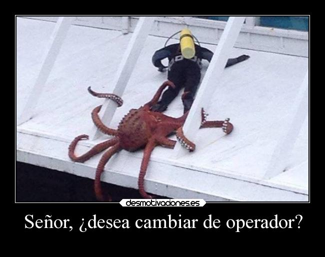 Señor, ¿desea cambiar de operador? - 