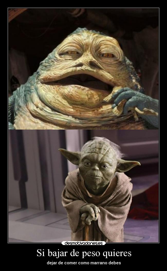 Si bajar de peso quieres - dejar de comer como marrano debes