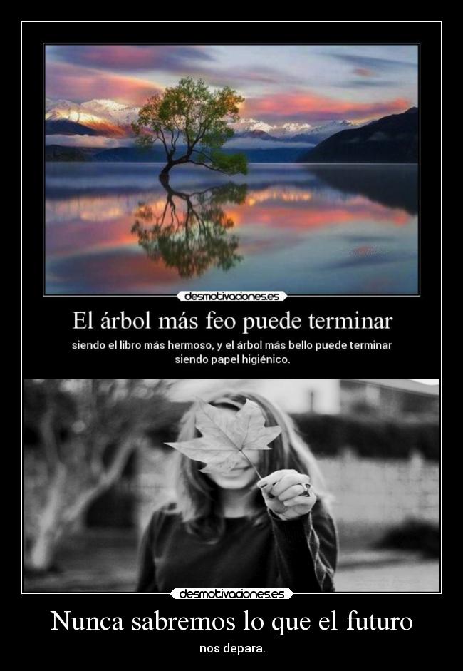 Nunca sabremos lo que el futuro - 
