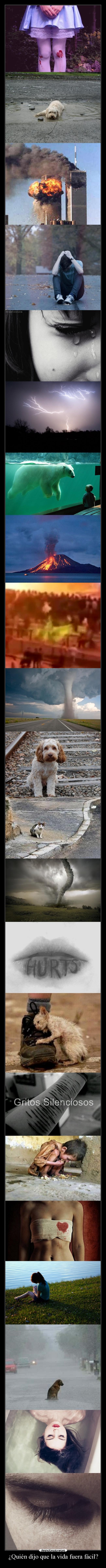 ¿Quién dijo que la vida fuera fácil? -