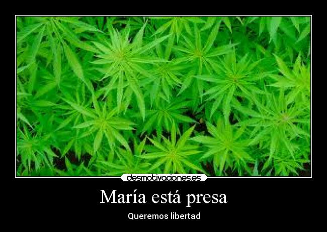 carteles vida sonrisa naturaleza fiesta desmotivaciones amistad alegria imaginacion suenos desmotivaciones