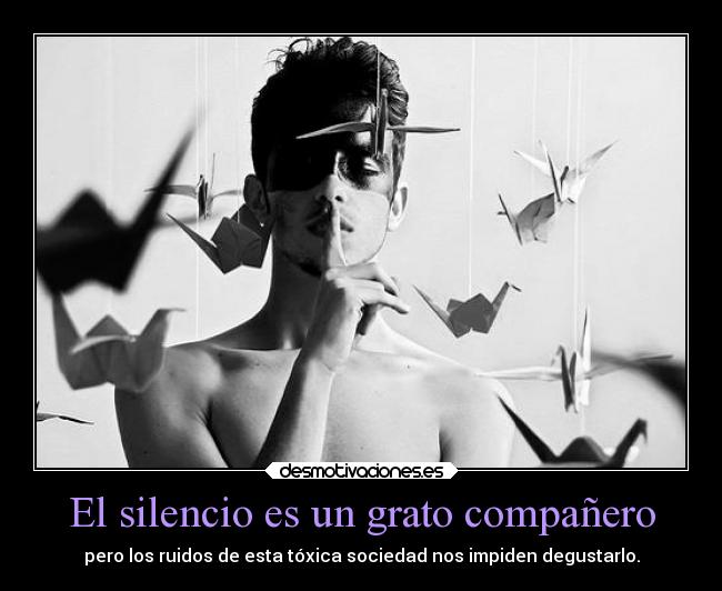 El silencio es un grato compañero - 