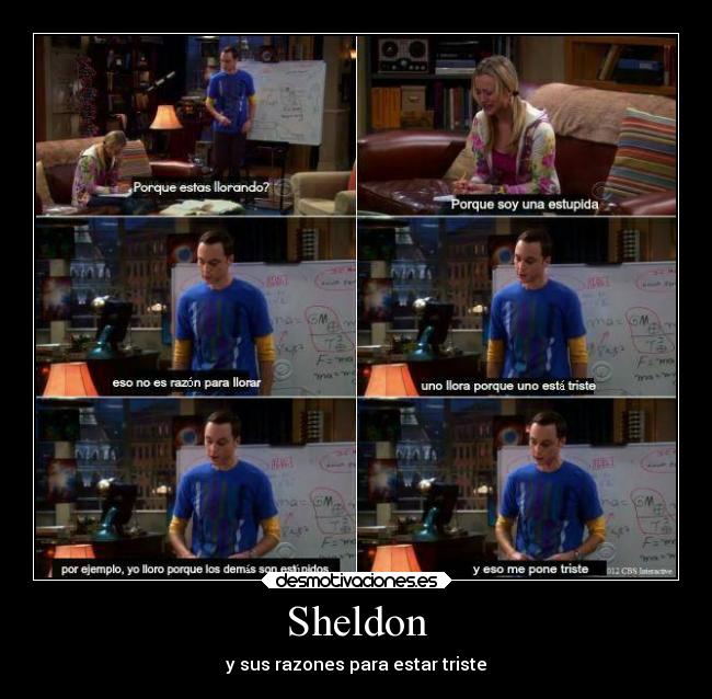 carteles vida the big bang theory sheldon penny desmotivaciones