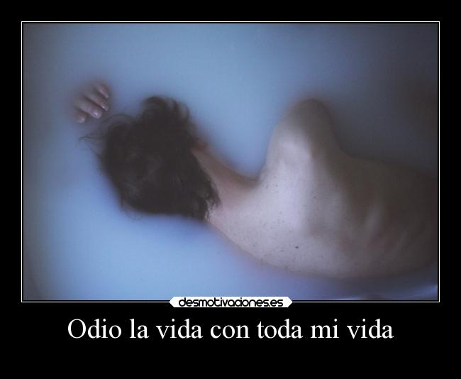 http://img.desmotivaciones.es/201312/carteles-vida-vida-tristeza-desmotivaciones.jpg