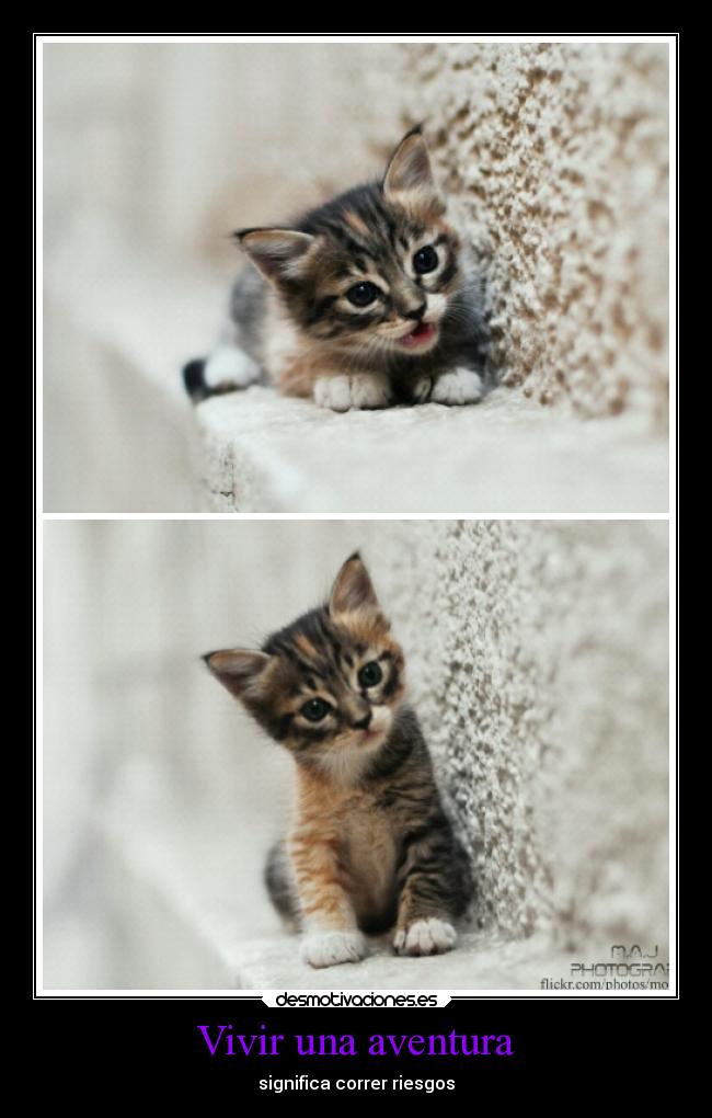 Vivir una aventura -