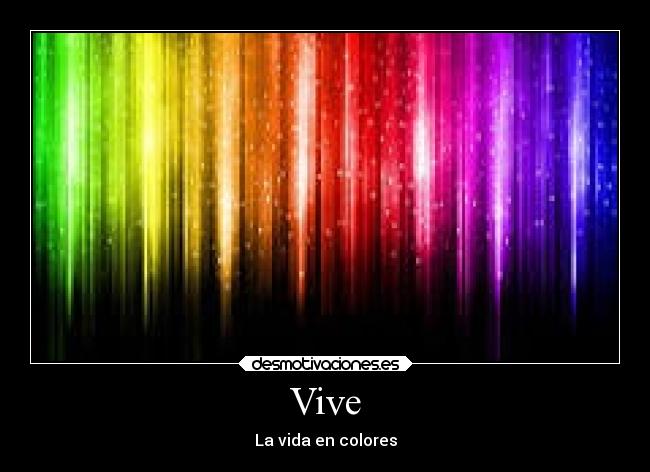 Vive - 