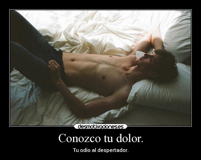 carteles dolor amor desmotivaciones