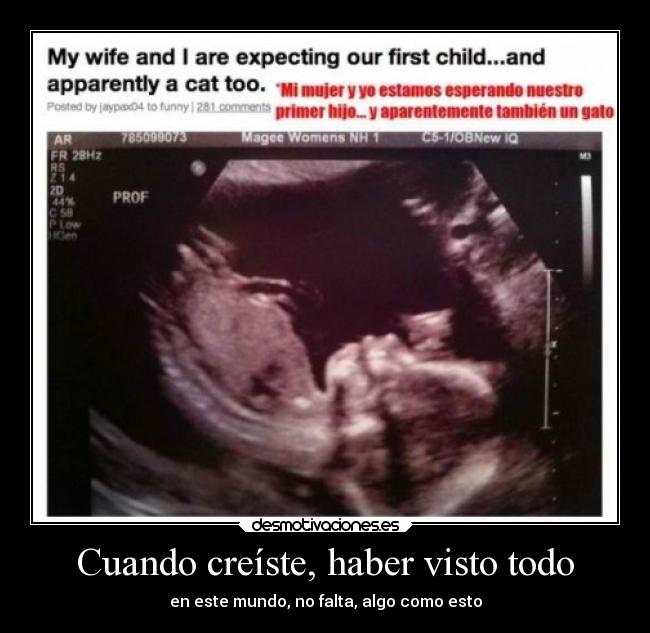 carteles vida mundo desmotivaciones