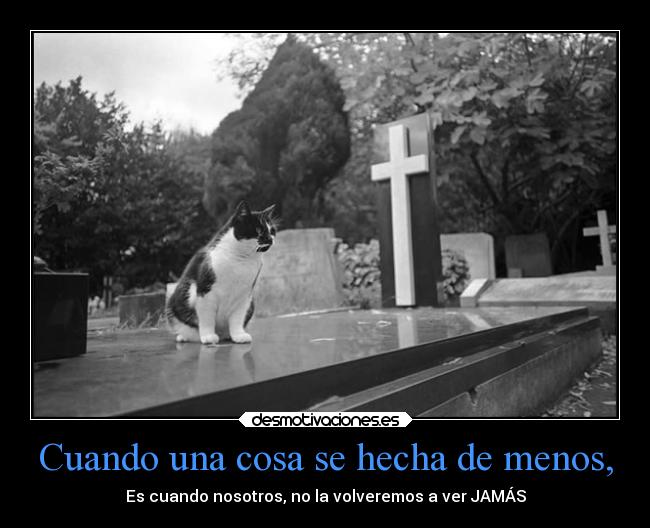 Cuando una cosa se hecha de menos, -