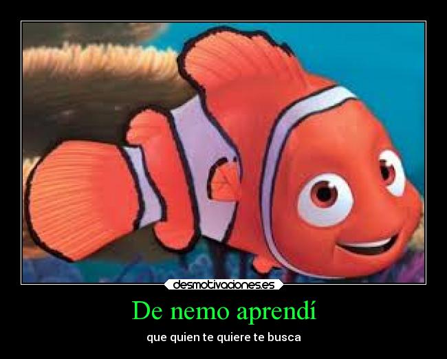 De nemo aprendí - 