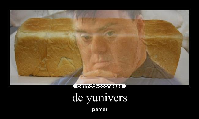 de yunivers - pamer