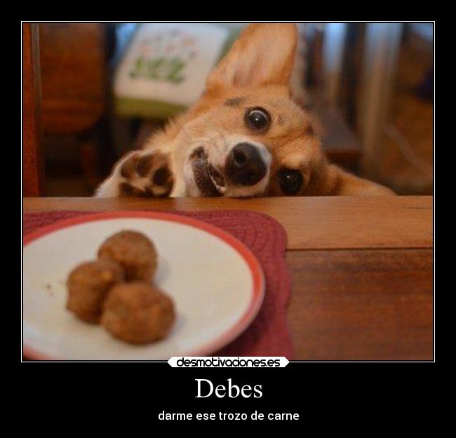 Debes - darme ese trozo de carne