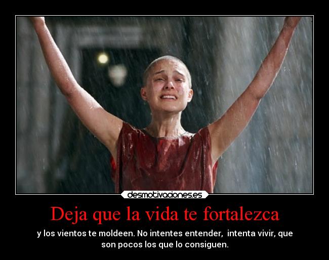 Deja que la vida te fortalezca - 