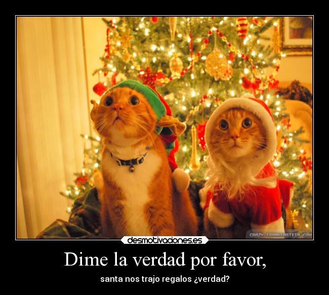 Dime la verdad por favor, - santa nos trajo regalos ¿verdad?