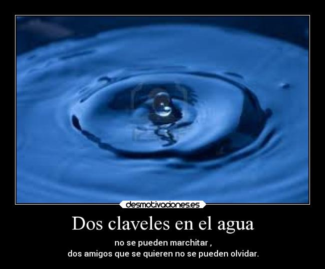 Dos claveles en el agua - no se pueden marchitar ,
dos amigos que se quieren no se pueden olvidar.