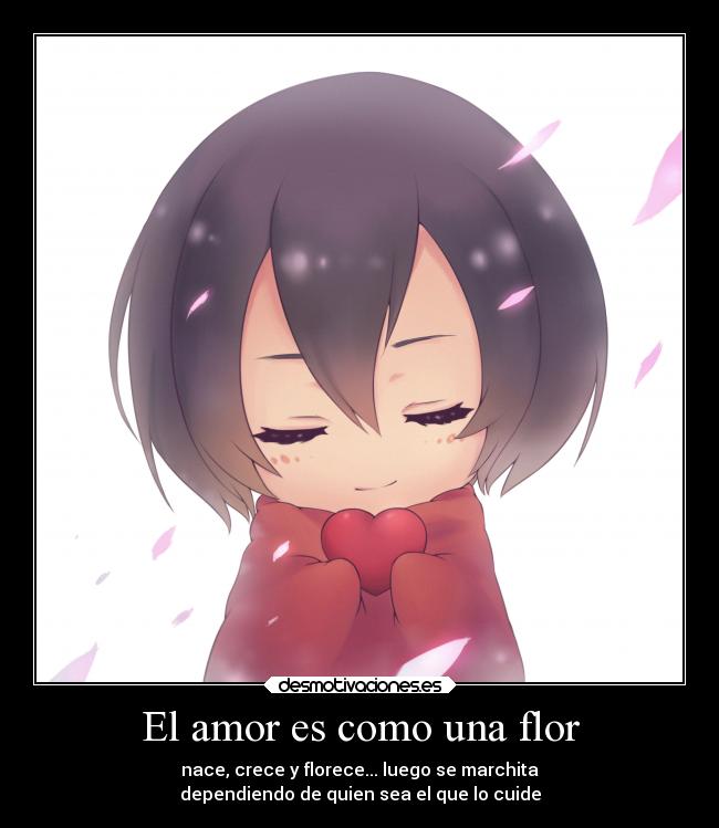 El amor es como una flor - nace, crece y florece... luego se marchita
dependiendo de quien sea el que lo cuide