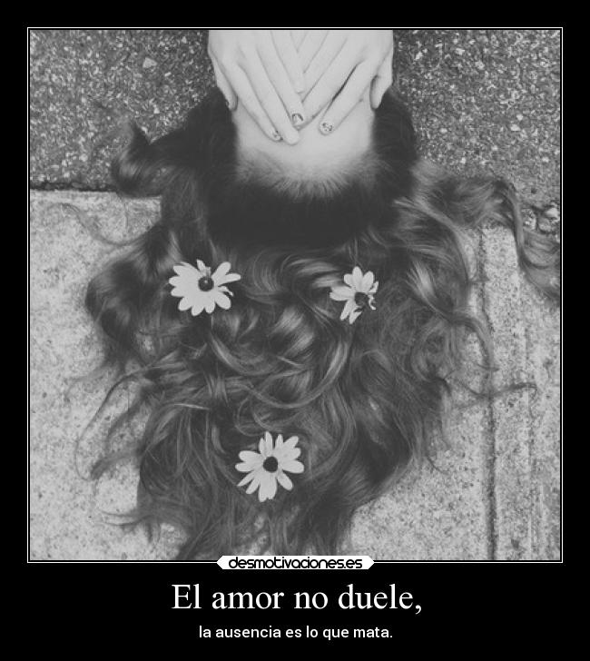 El amor no duele, - 