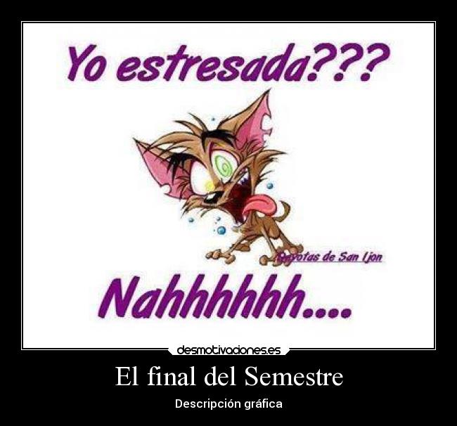 El final del Semestre - 