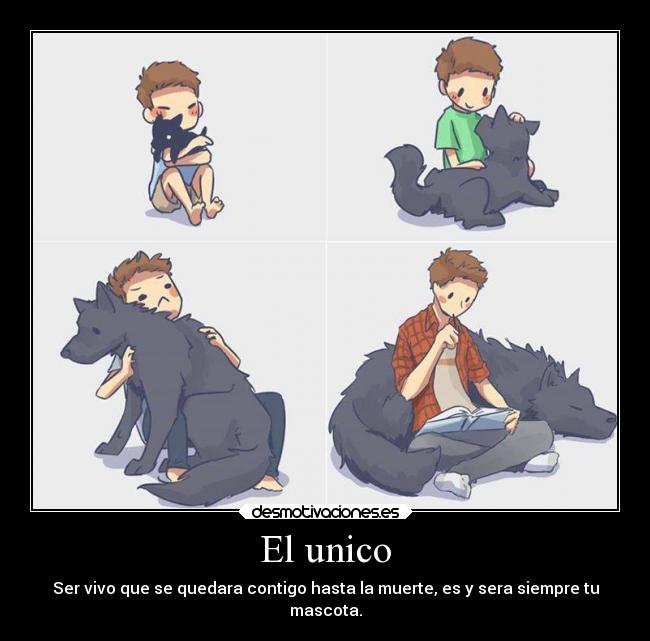 El unico - Ser vivo que se quedara contigo hasta la muerte, es y sera siempre tu
mascota.