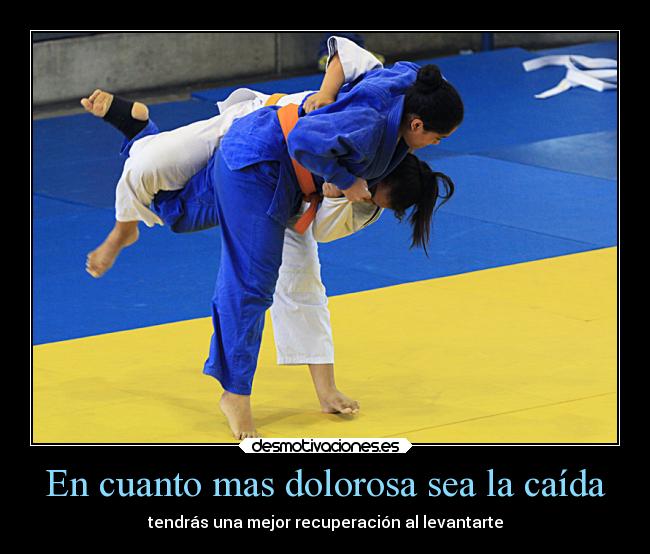 carteles devilbrigade ail judo feliz cumpleanos sapphiryc amor algo que disfrutas desmotivaciones