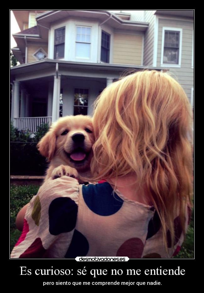 carteles mediometro una semana estare dandote abrazos besitos quierooo gorda amor desmotivaciones