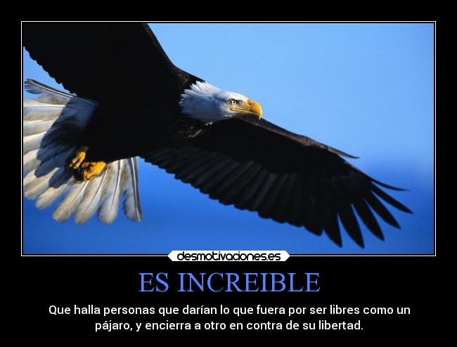 ES INCREIBLE - Que halla personas que darían lo que fuera por ser libres como un
pájaro, y encierra a otro en contra de su libertad.