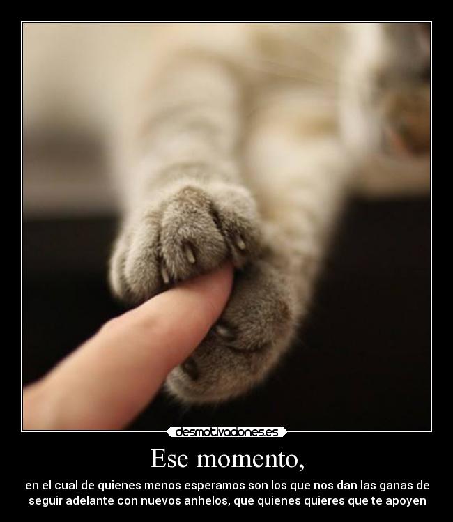 Ese momento, - en el cual de quienes menos esperamos son los que nos dan las ganas de
seguir adelante con nuevos anhelos, que quienes quieres que te apoyen