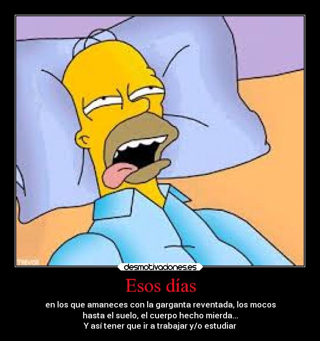 Esos días - en los que amaneces con la garganta reventada, los mocos
hasta el suelo, el cuerpo hecho mierda...
Y así tener que ir a trabajar y/o estudiar