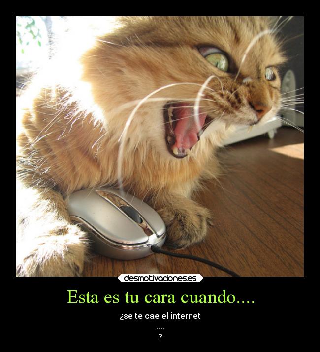 carteles bogota desmotivaciones