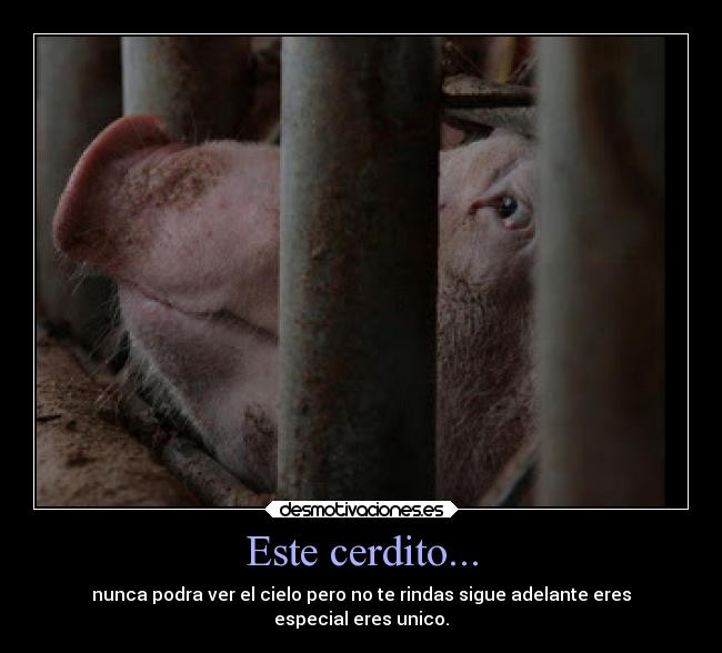Este cerdito... - nunca podra ver el cielo pero no te rindas sigue adelante eres
especial eres unico.