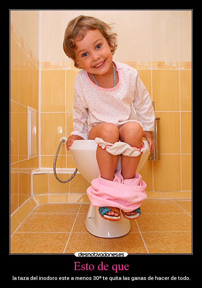 Esto de que - la taza del inodoro este a menos 30º te quita las ganas de hacer de todo.
