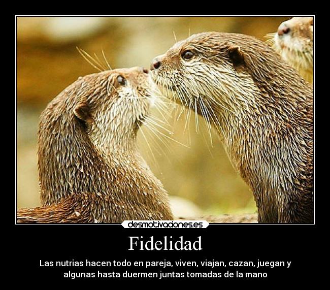 carteles alegria desmotivaciones