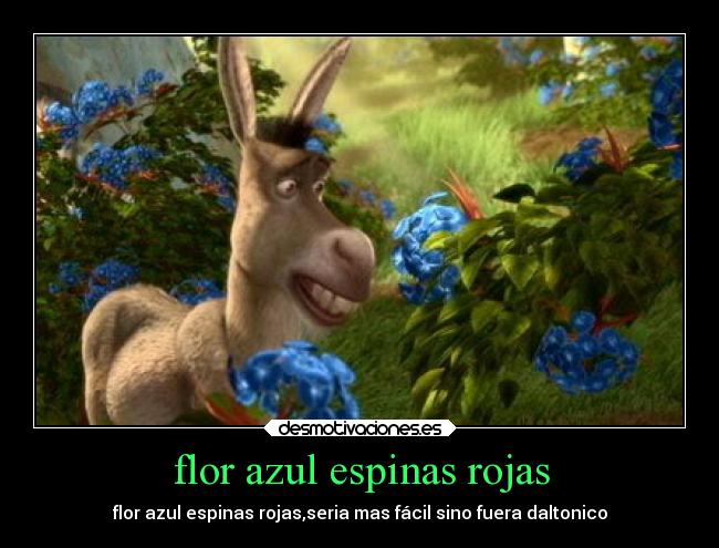 flor azul espinas rojas -