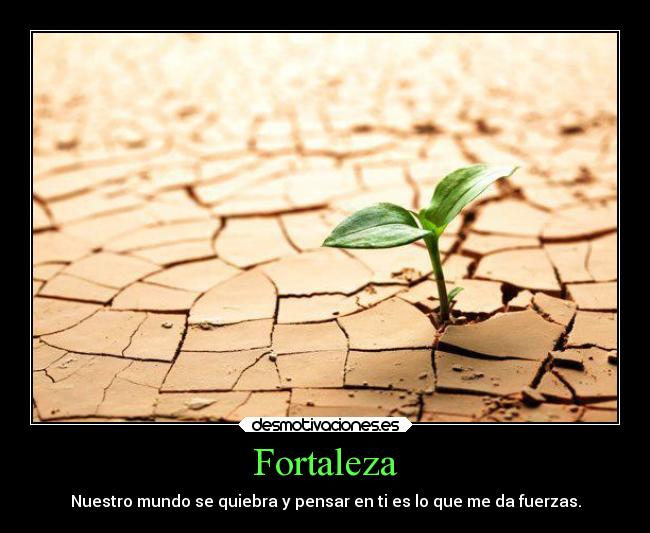 Fortaleza -