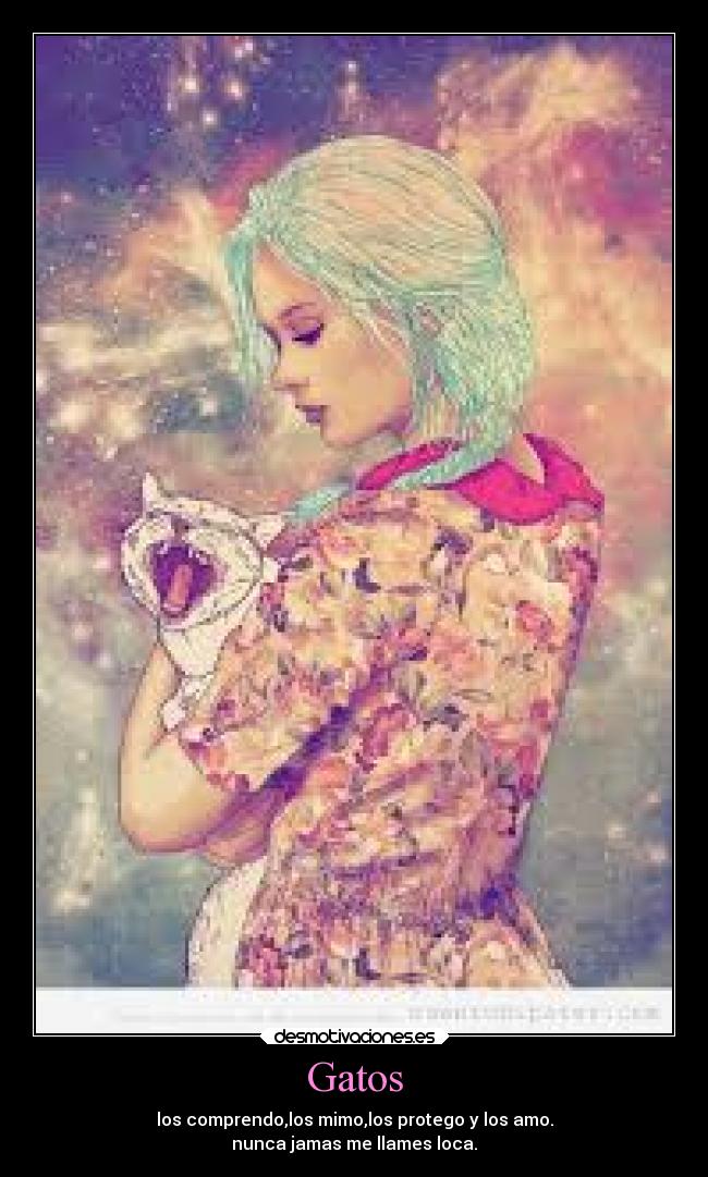 Gatos - los comprendo,los mimo,los protego y los amo.
nunca jamas me llames loca.