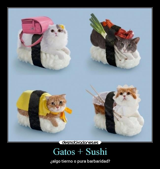 Gatos + Sushi - ¿algo tierno o pura barbaridad?