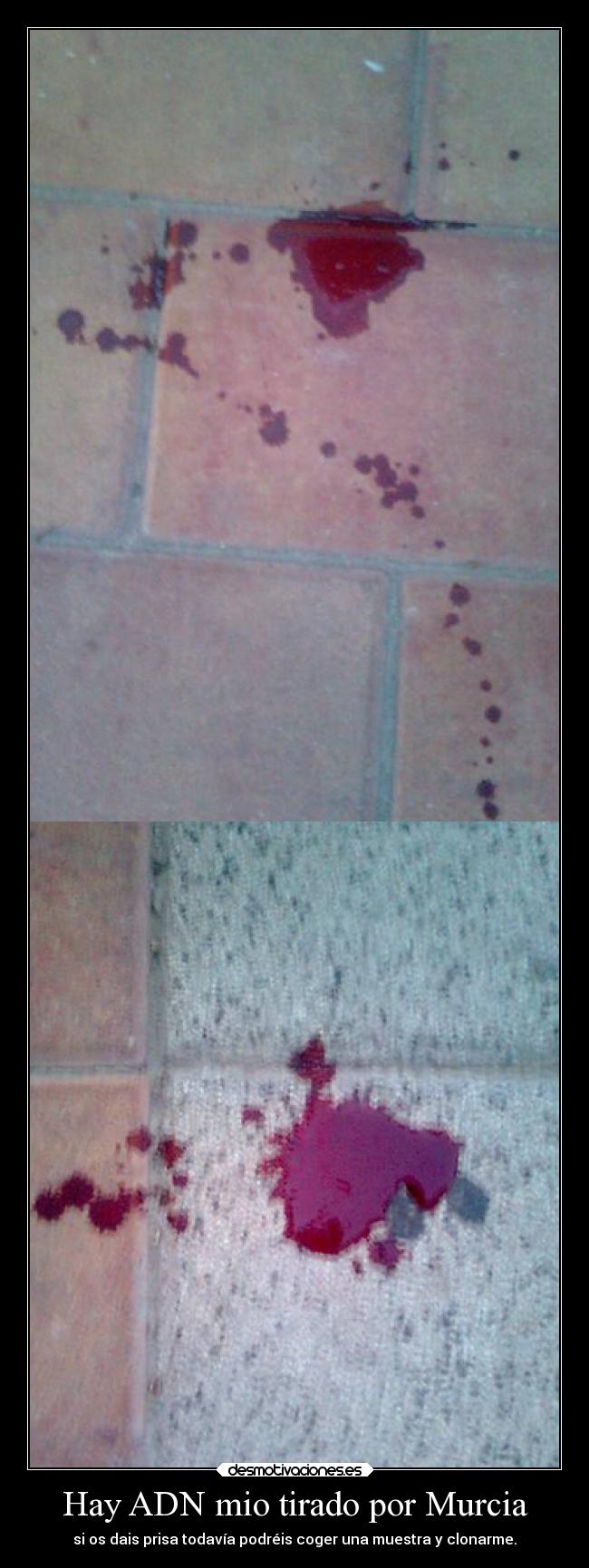 Hay ADN mio tirado por Murcia - 