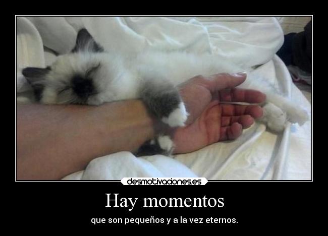 Hay momentos - 