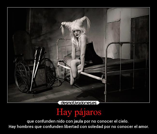 carteles asi simple lol que dice pavo pava desmotivaciones