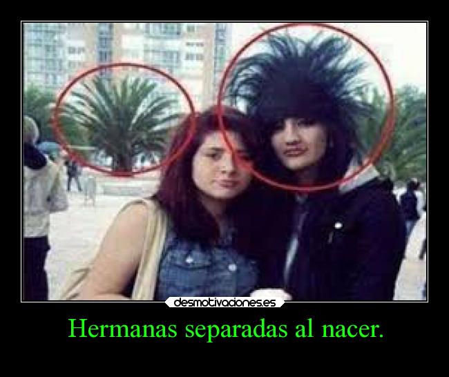 Hermanas separadas al nacer. - 