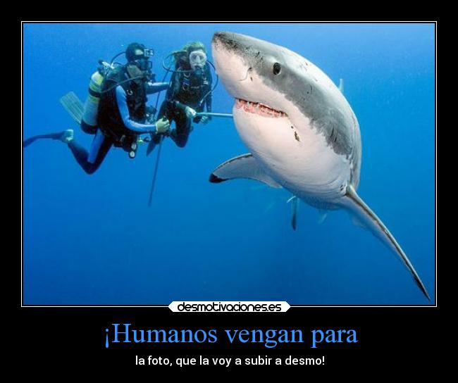 carteles desmotivaciones desmotivaciones