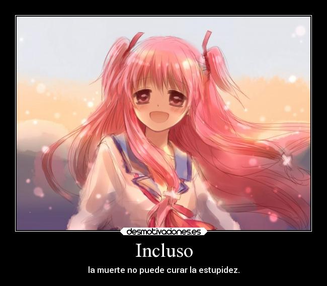 Incluso - 